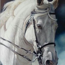 Схема вышивки «КОНЬ»