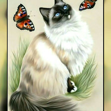 Схема вышивки «Кошечка с бабочками2.»