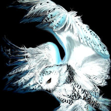 Схема вышивки «Белая сова.»