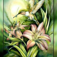 Схема вышивки «Колибри и лилии.»