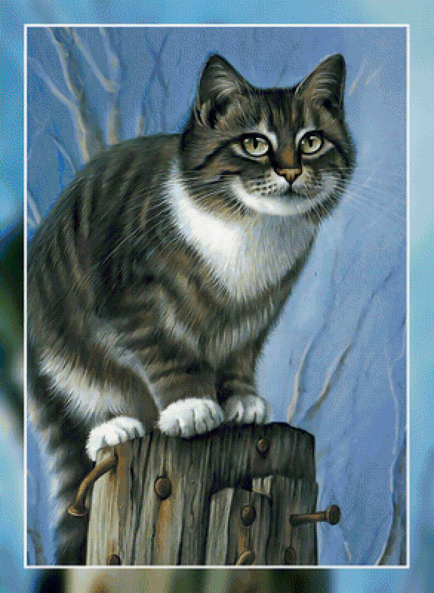Любопытный котик2. - кот, забор., кошка, столб - предпросмотр