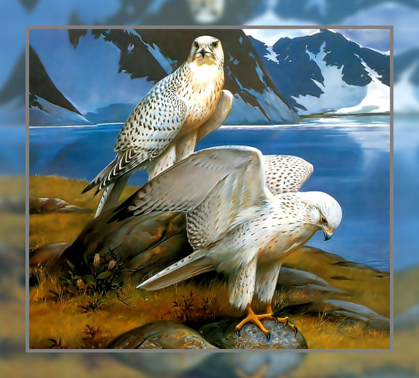 Небесные хищники. - хищники., птицы - оригинал