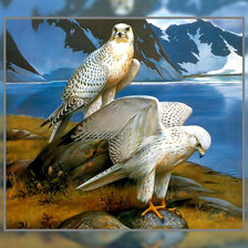 Схема вышивки «Небесные хищники.»