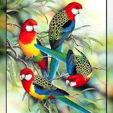 Схема вышивки «Попугайчики.»