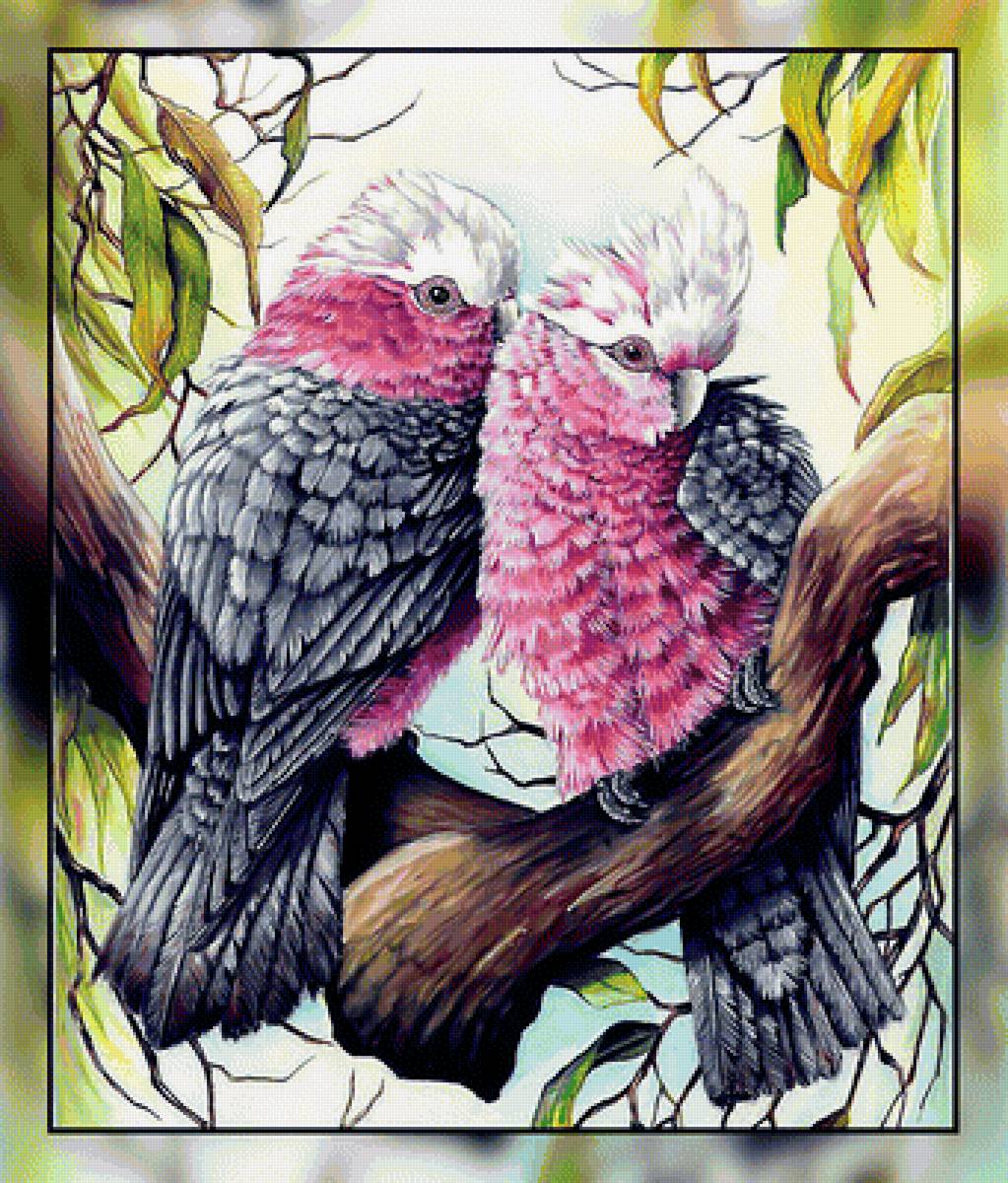 Сладкая парочка. - попугаи, птицы. - предпросмотр