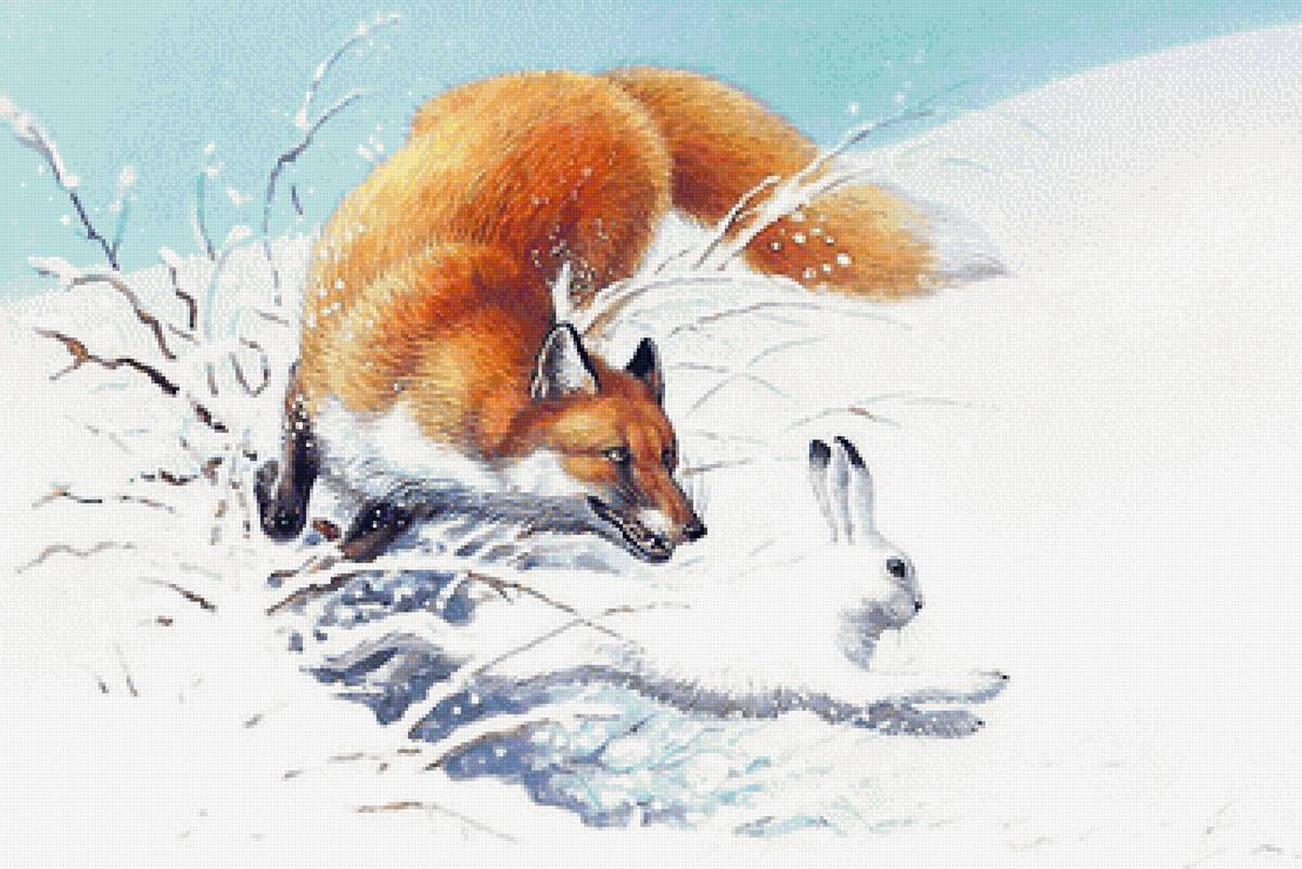 мир животных - мир животных - предпросмотр