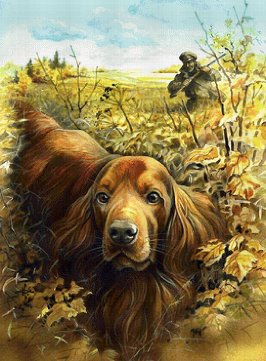 мир животных - мир животных - предпросмотр