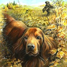 Схема вышивки «мир животных»