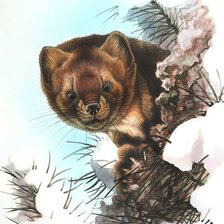 Схема вышивки «мир животных»