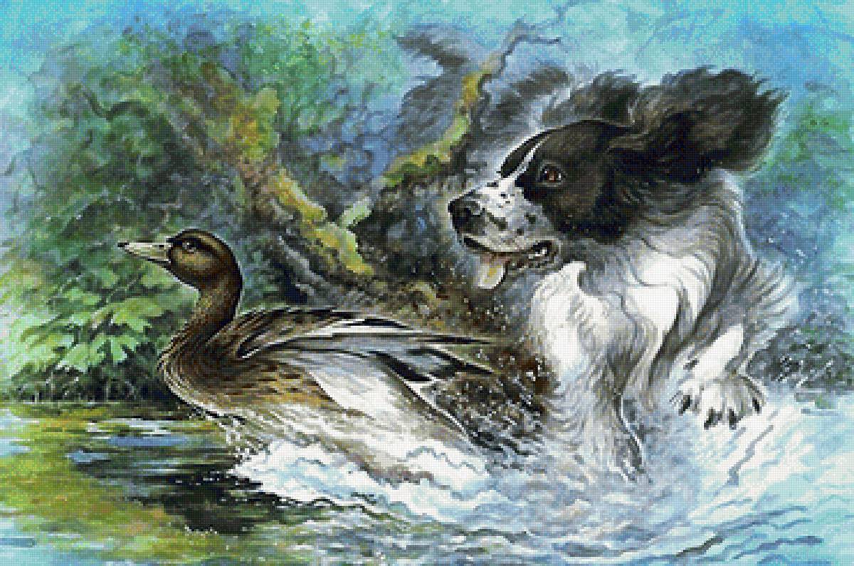 мир животных - мир животных - предпросмотр