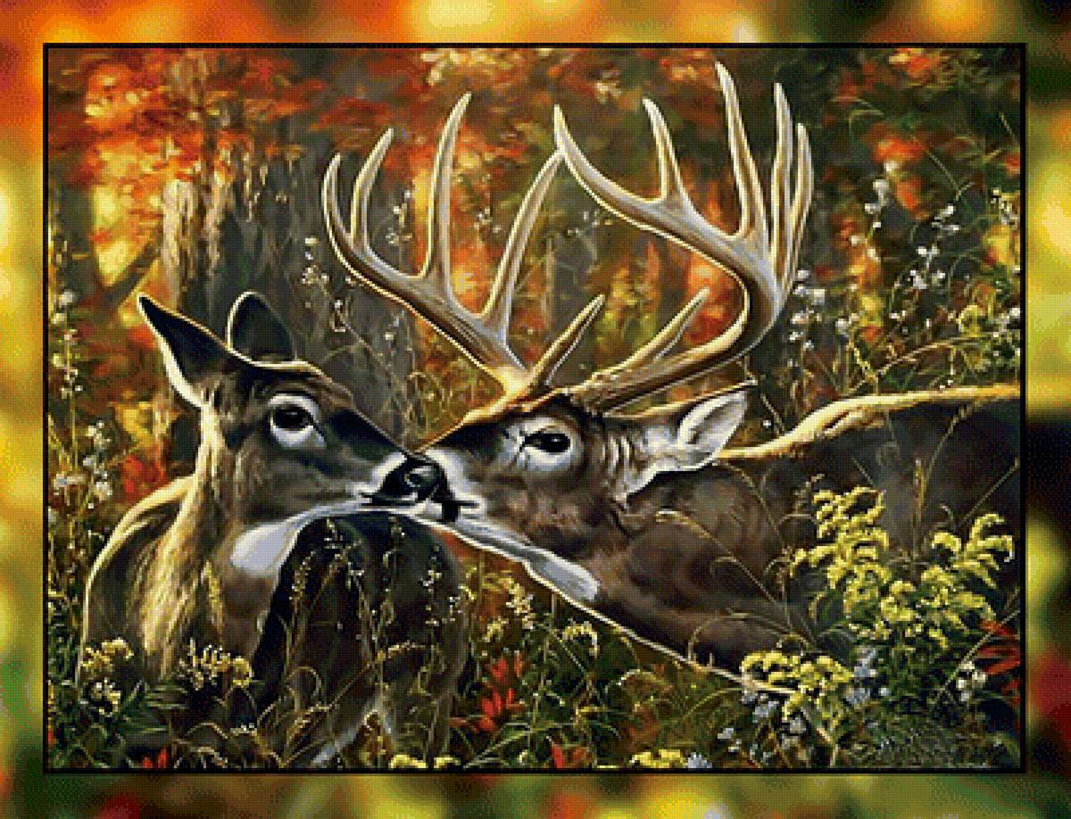 Олени в осеннем лесу. - олени., пейзаж, осень, лес - предпросмотр