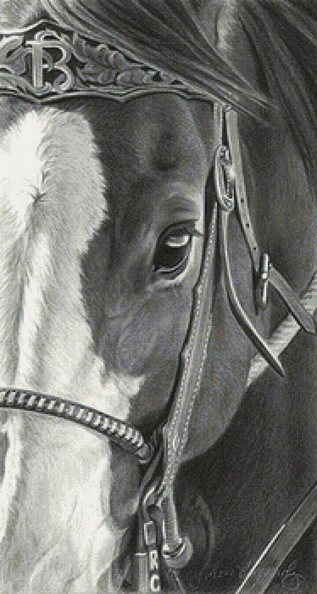 лошадь - животные, рисунок, лошади - предпросмотр