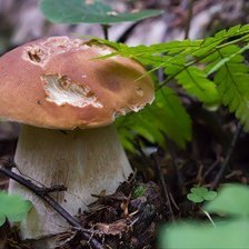 Схема вышивки «Вот это находка»