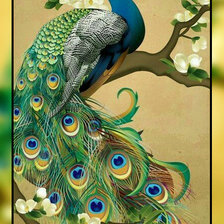 Схема вышивки «Павлин.»