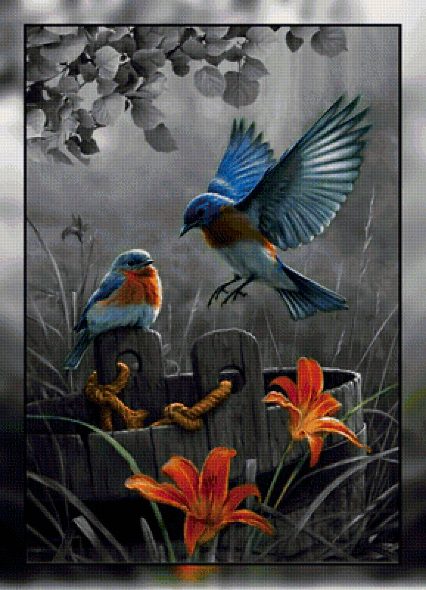 Птички. - птицы. - предпросмотр