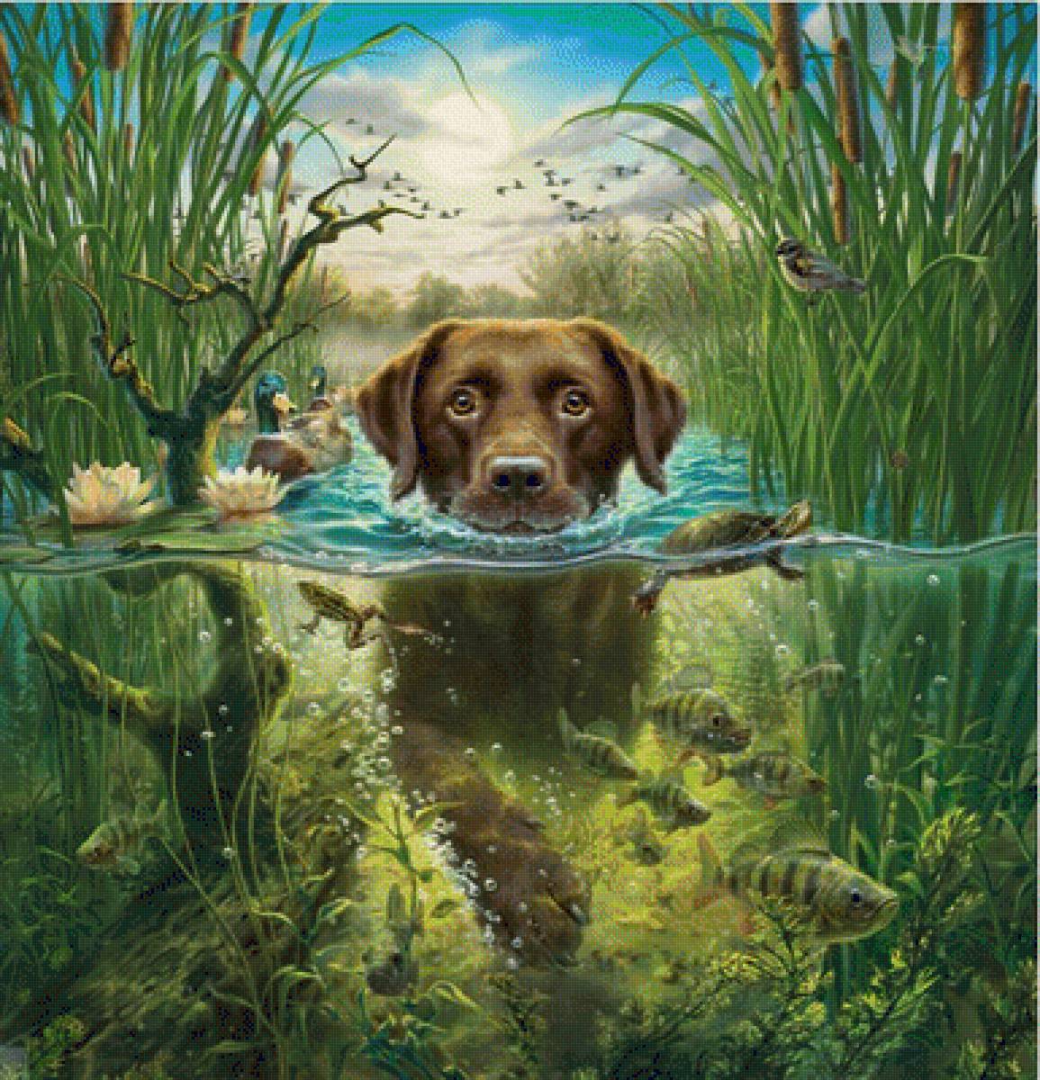 ЖИВОТНЫЕ - природа. by mark fredrickson, животные - предпросмотр