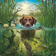 Схема вышивки «ЖИВОТНЫЕ»