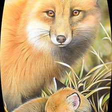 Схема вышивки «Серия "Лисы"»