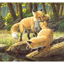 Схема вышивки «Серия "Лисы"»