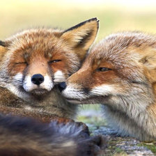 Схема вышивки «№1948669»