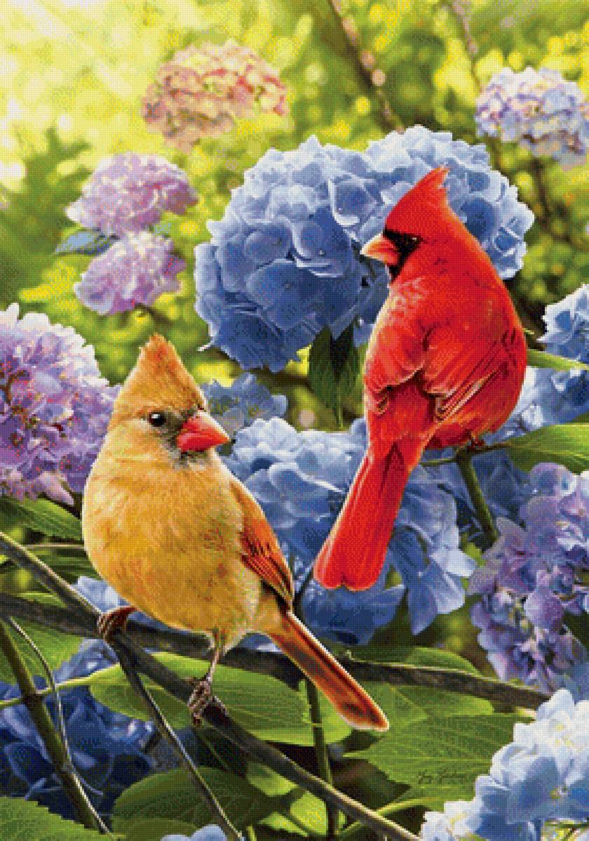 vtáci,kvety - предпросмотр