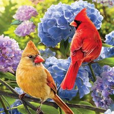 Схема вышивки «vtáci,kvety»