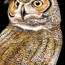 Схема вышивки «№1948686»