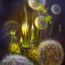 Схема вышивки «ОДУВАНЧИКИ»