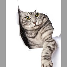 Схема вышивки «№1948830»