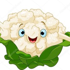 Схема вышивки «капуста»