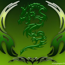 Схема вышивки «дракон , орнамент»