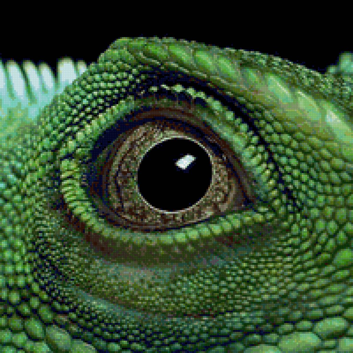 глаз - глаз - предпросмотр