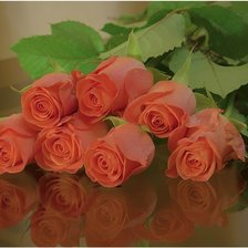 Схема вышивки «розы»