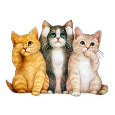 no vedo no Sento no Parlo