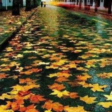 Схема вышивки «осень»