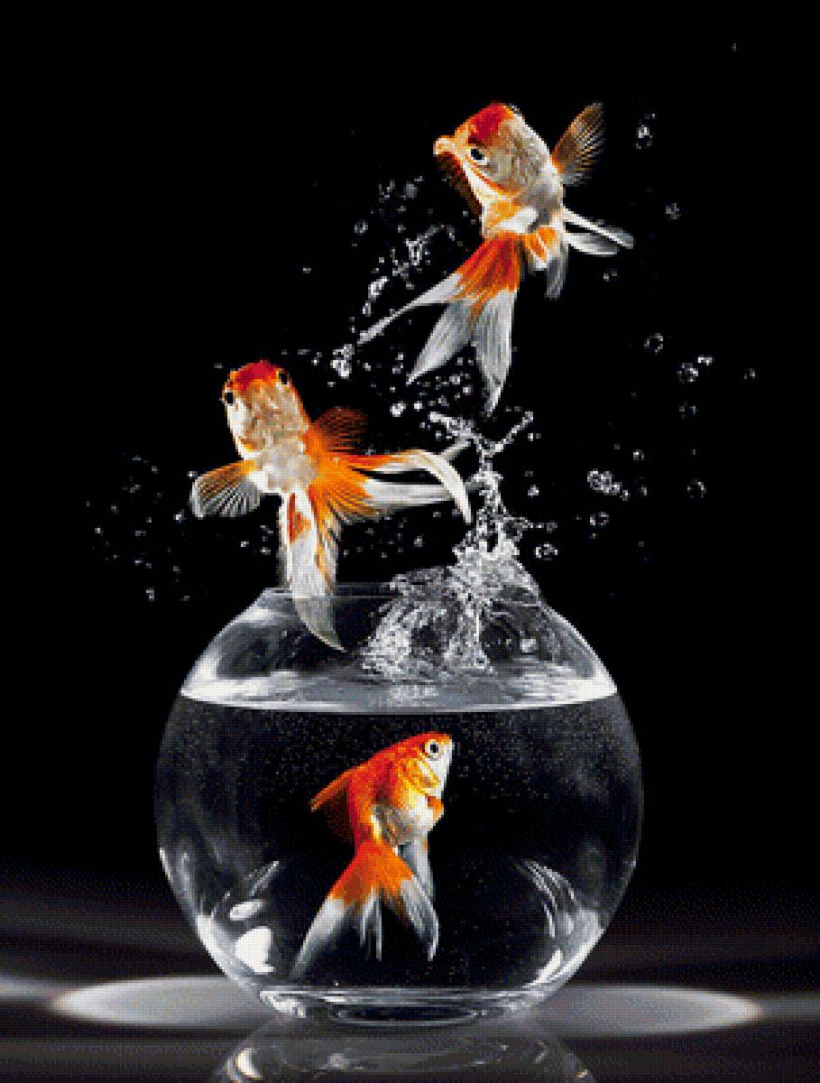 рыбка - предпросмотр