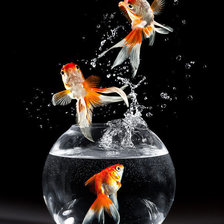 Схема вышивки «рыбка»