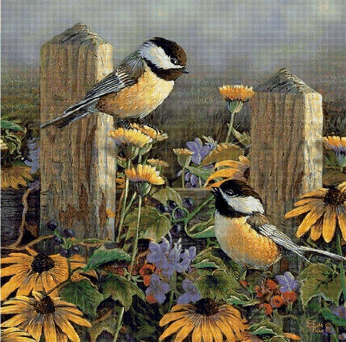 СИНИЧКИ - предпросмотр