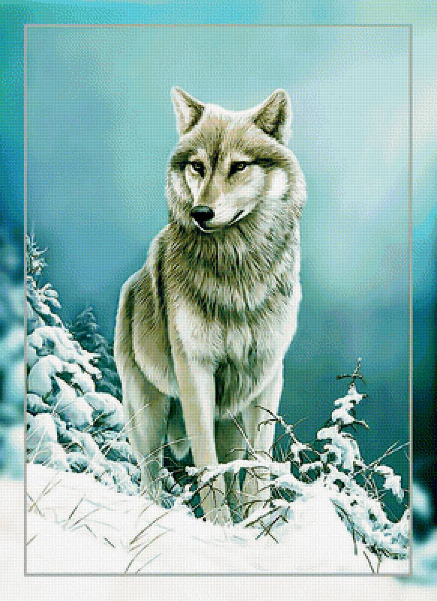 Волк в зимнем лесу2. - зима, хищник, снег, лес., волк - предпросмотр