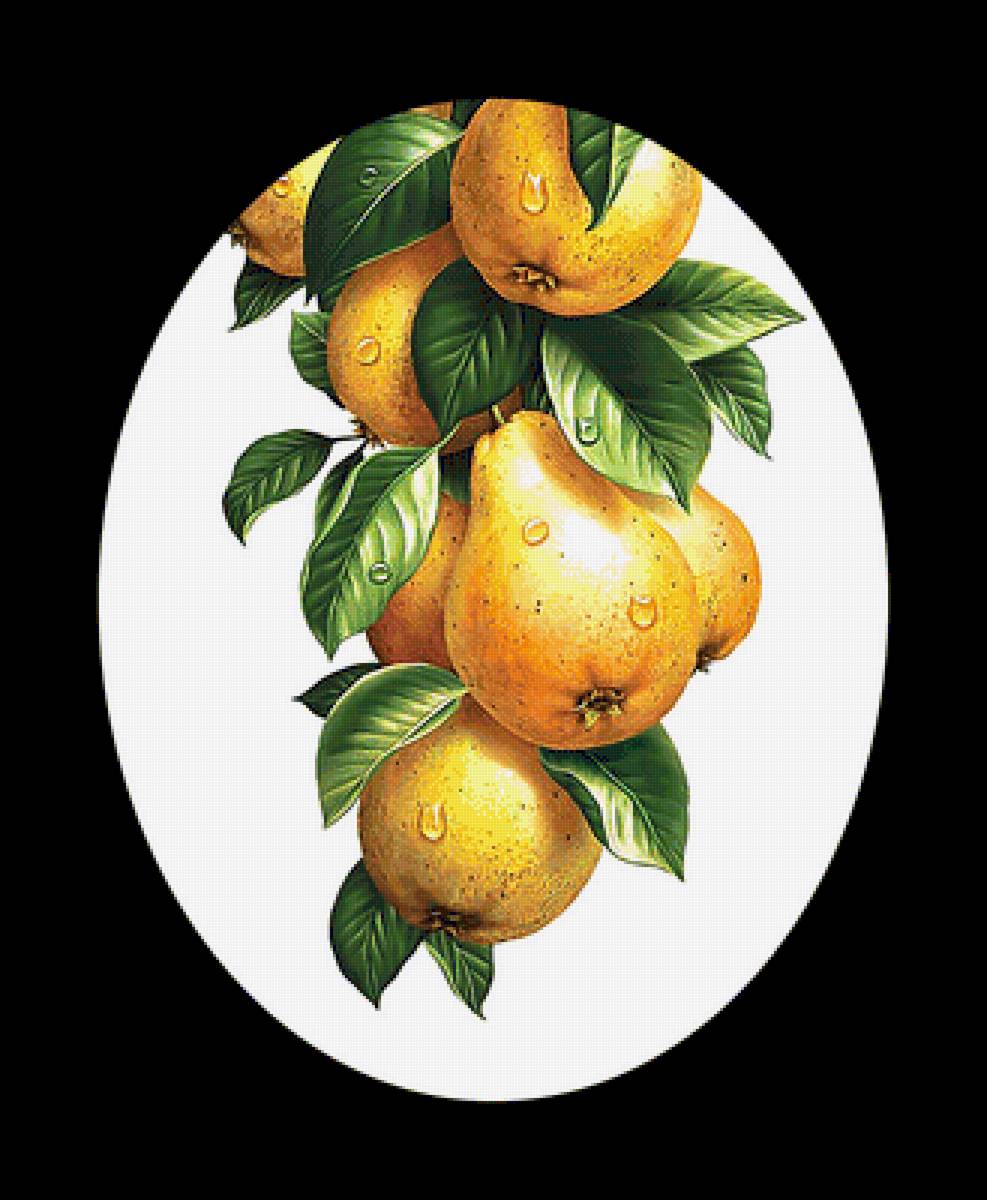 Серия "Фруктово-ягодная". Груши - груши, фрукты - предпросмотр