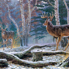 Схема вышивки «олени»