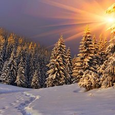 Схема вышивки «зима»