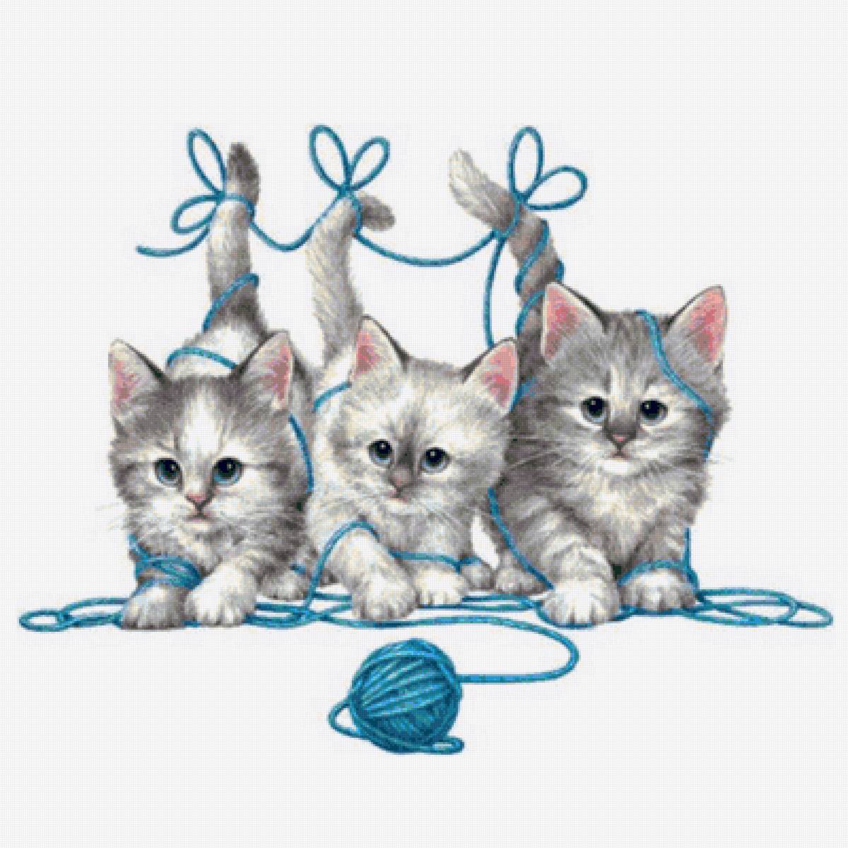 Gattini Lana - animal - предпросмотр