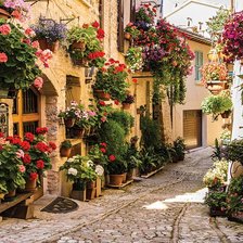 Схема вышивки «Цветната уличка»