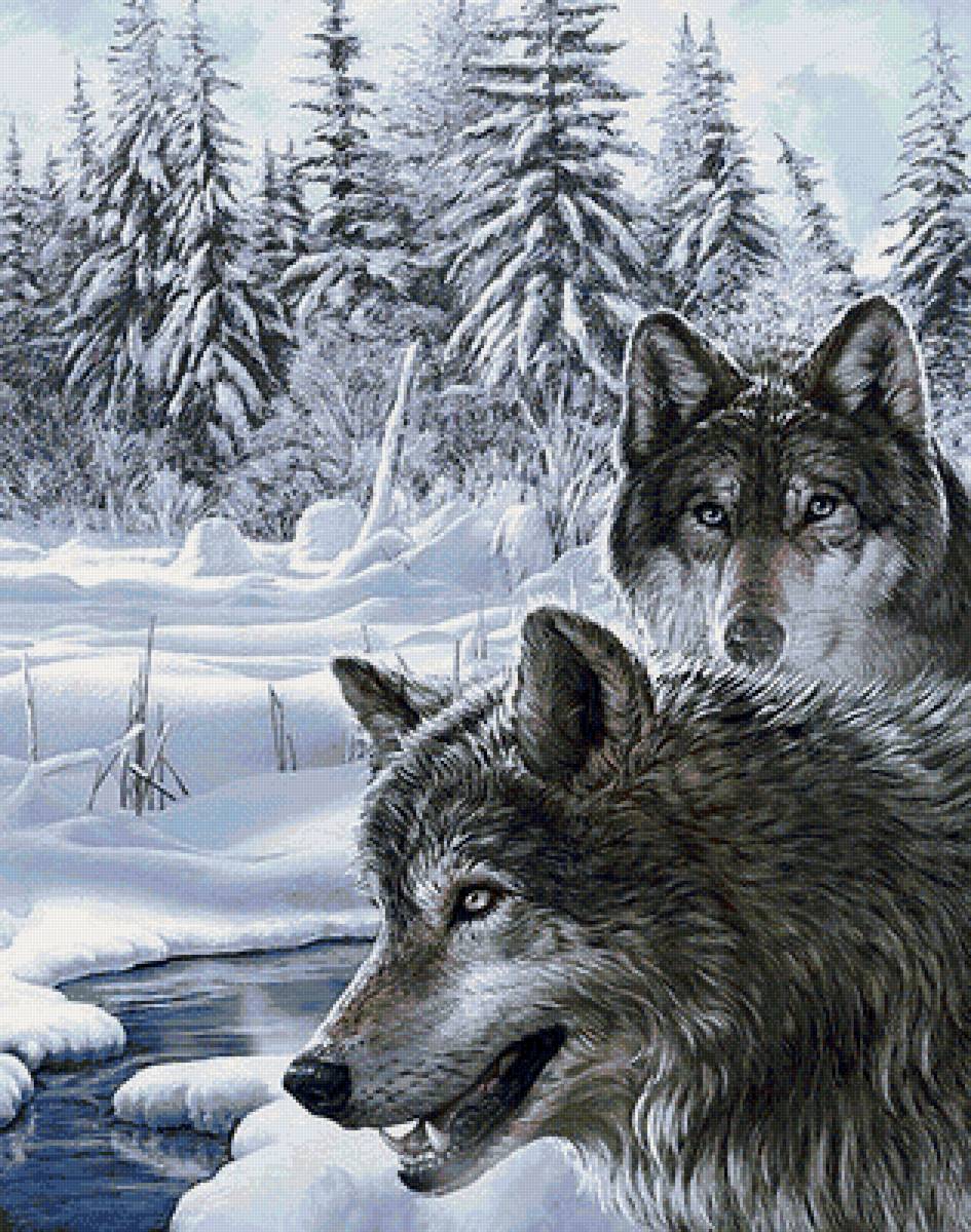 дикие - хищники.волки.зима.пейзаж. - предпросмотр