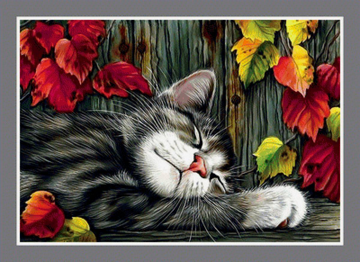 Котик. - кошка, кот, животные. - предпросмотр