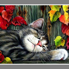 Схема вышивки «Котик.»