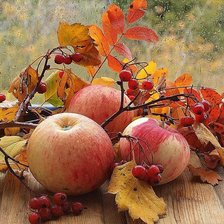 Схема вышивки «натюрморт»