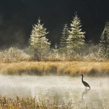Схема вышивки «czapla modra»