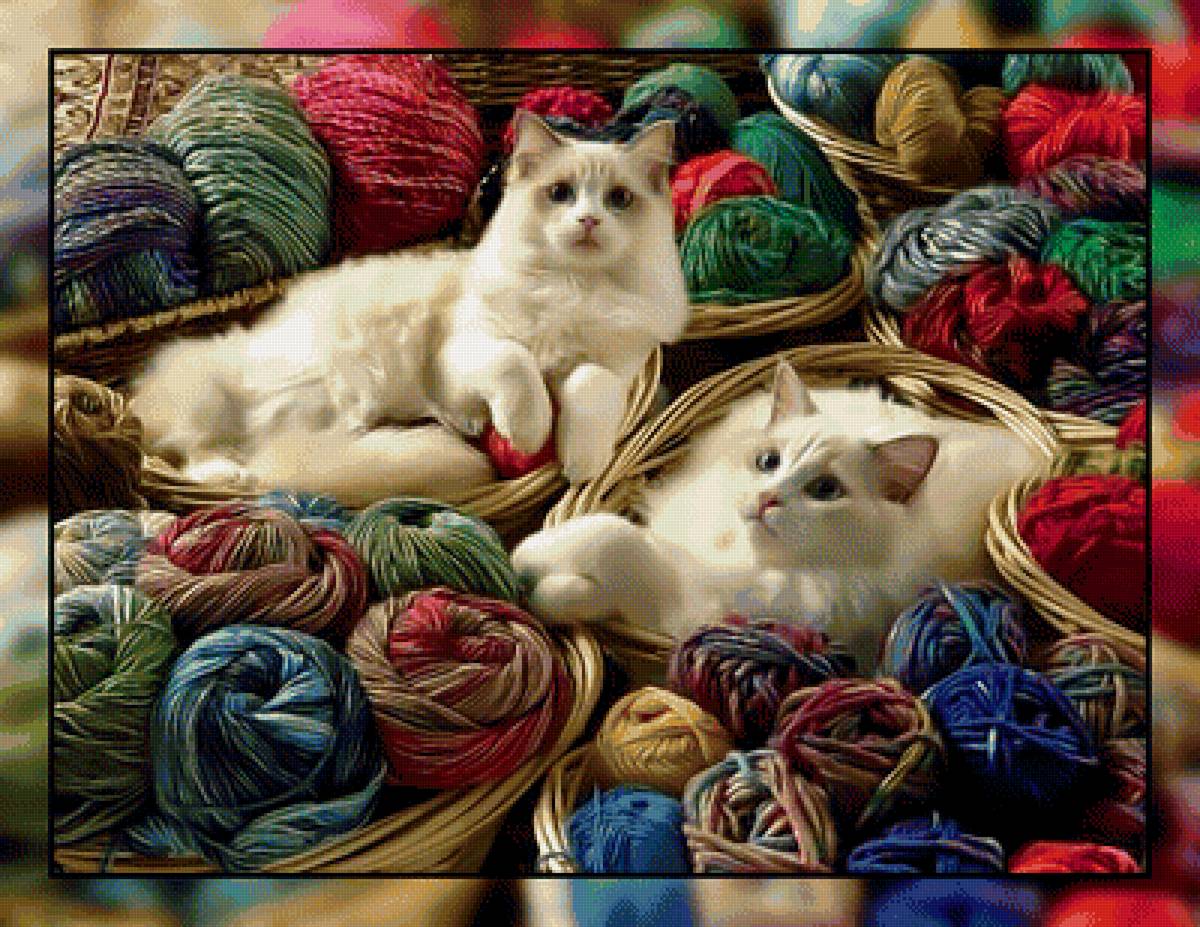 Котики и клубочки. - клубок, коты, нитки. - предпросмотр